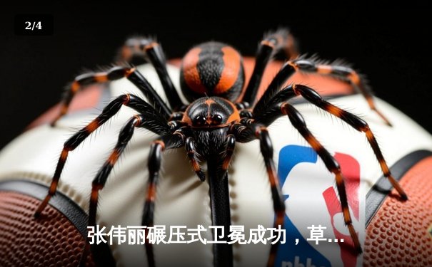 张伟丽碾压式卫冕成功，草量级女王统治力尽显无遗 - 2