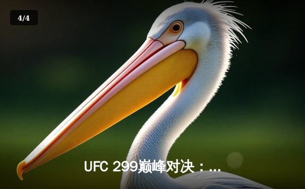 UFC 299巅峰对决：奥马利成功卫冕雏量级金腰带 桑德哈根血战制服维拉 - 4